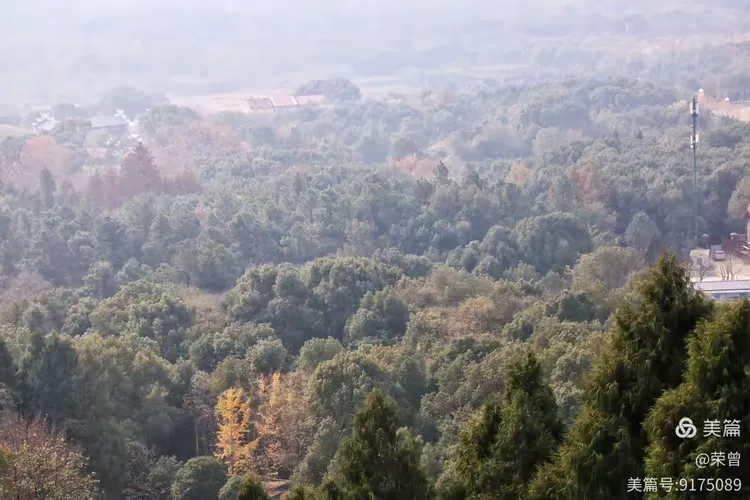 湖北武汉,龙泉山